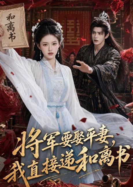 将军要娶平妻,我直接递和离书海报
