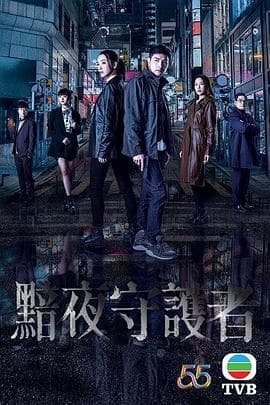 黯夜守护者(国语版)海报