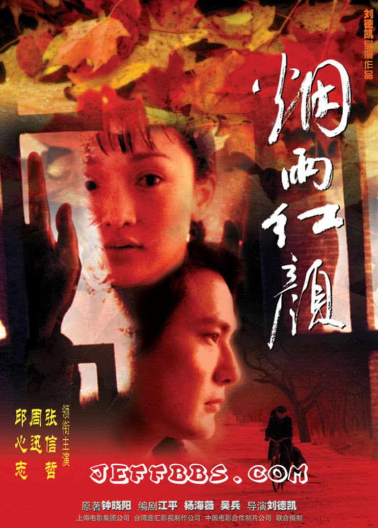 烟雨红颜海报