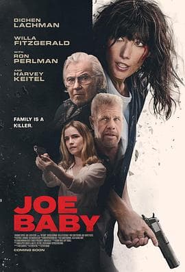 Joe Baby海报