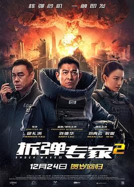 拆弹专家2(国语)海报