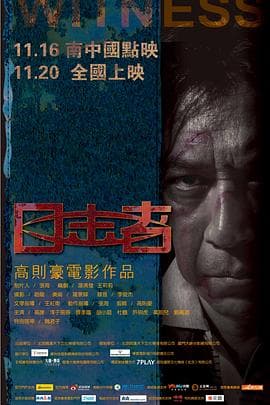 目击者2012海报