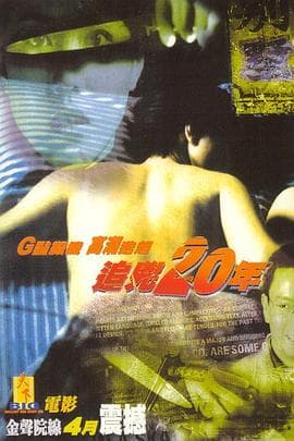 追凶20年国语海报