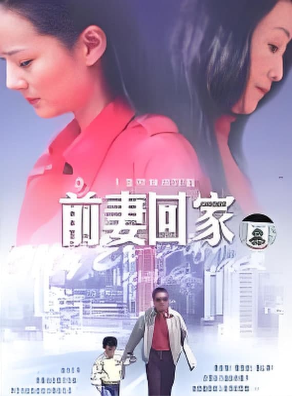 前妻回家海报
