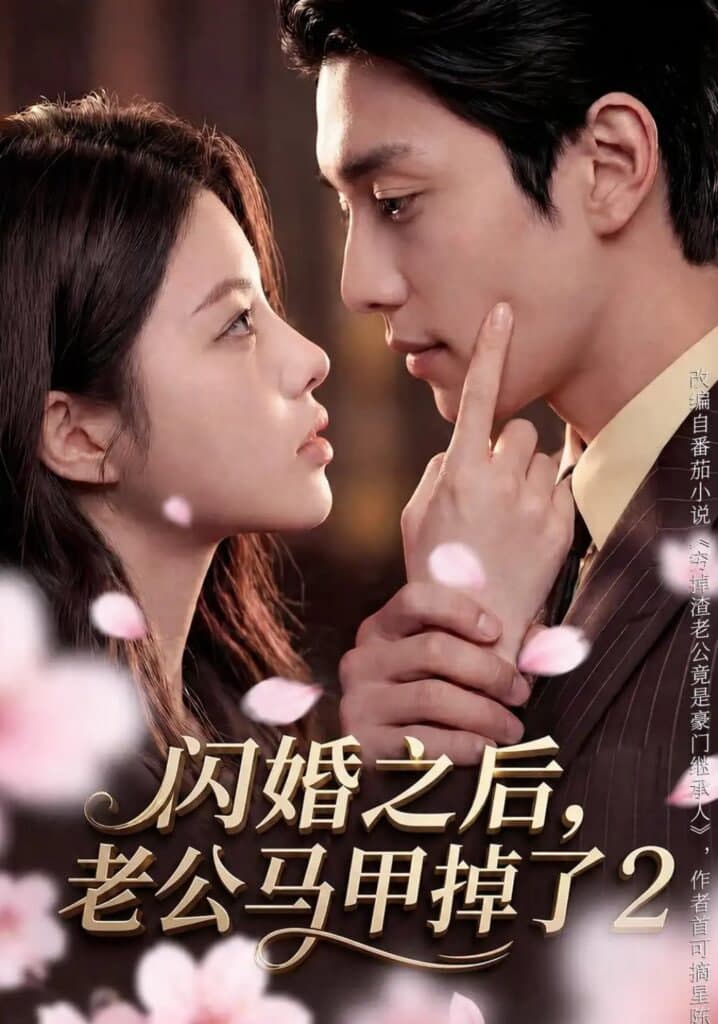 闪婚之后,老公马甲掉了 2海报