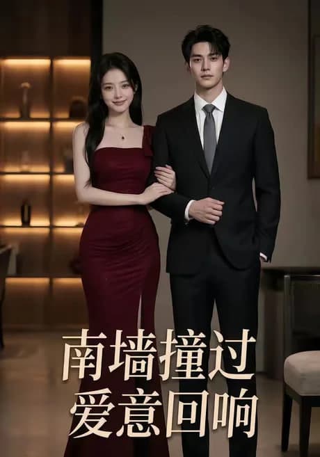 南墙撞过,爱意回响海报