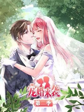 宠婚来袭第二季海报