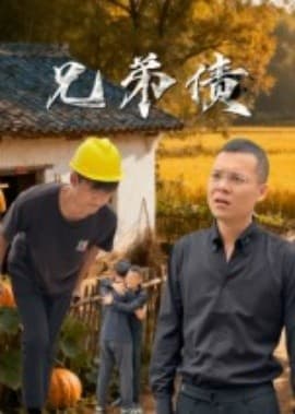 兄弟债海报
