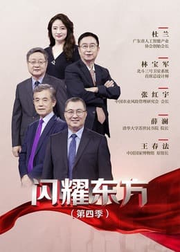 闪耀东方第4季海报