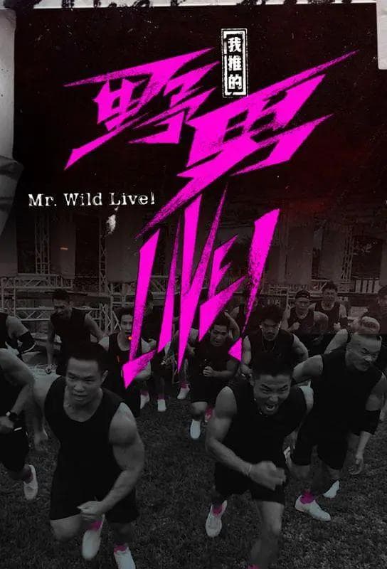 我推的野男LIVE!海报