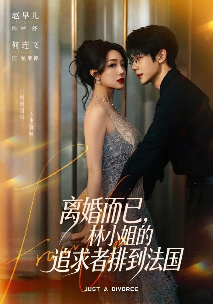 离婚而已,林小姐的追求者排到法国海报