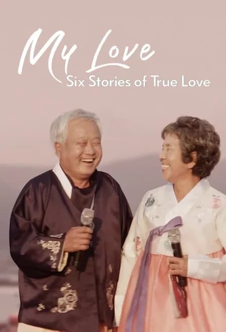 我的白头爱人:六个真爱故事海报
