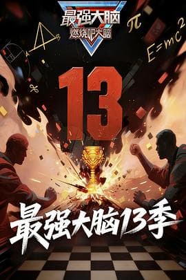 最强大脑 第十三季海报