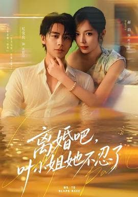 离婚吧,叶小姐她不忍了海报