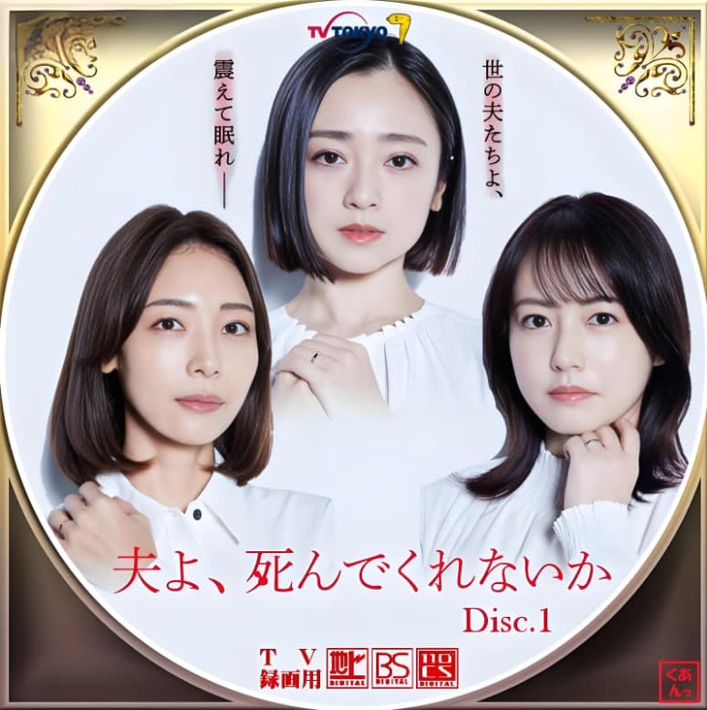老公啊,你能去死吗海报