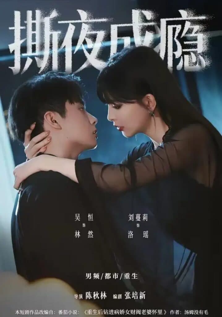 撕夜成瘾海报