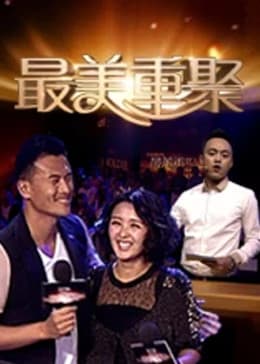 最美重聚海报