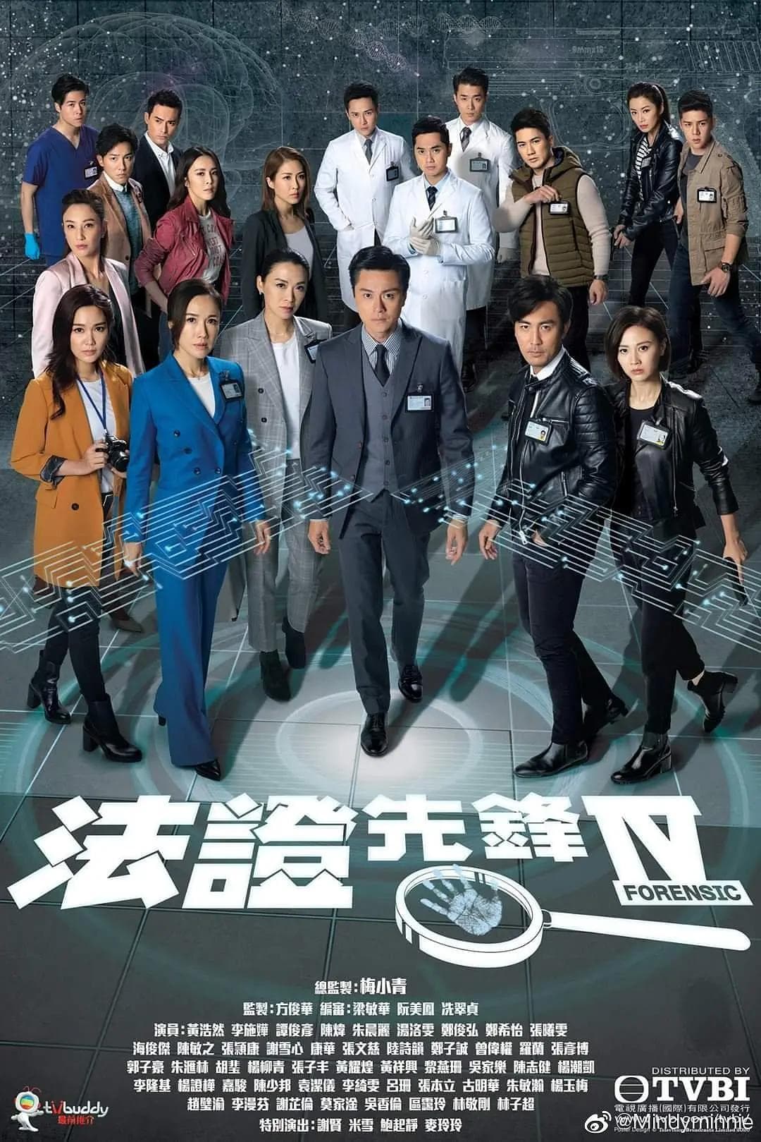 法证先锋4粤语海报