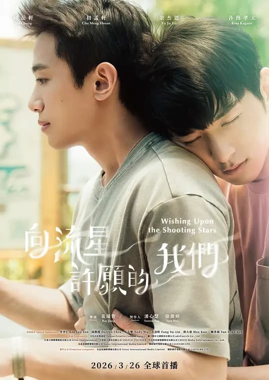 向流星许愿的我们海报